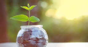 a glass jar filled with coins and a plant growing out of it.