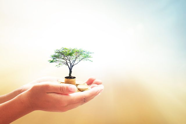 a hand holding a small tree on top of a pile of coins.